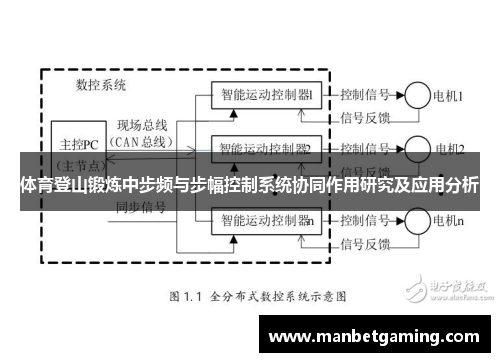 体育登山锻炼中步频与步幅控制系统协同作用研究及应用分析